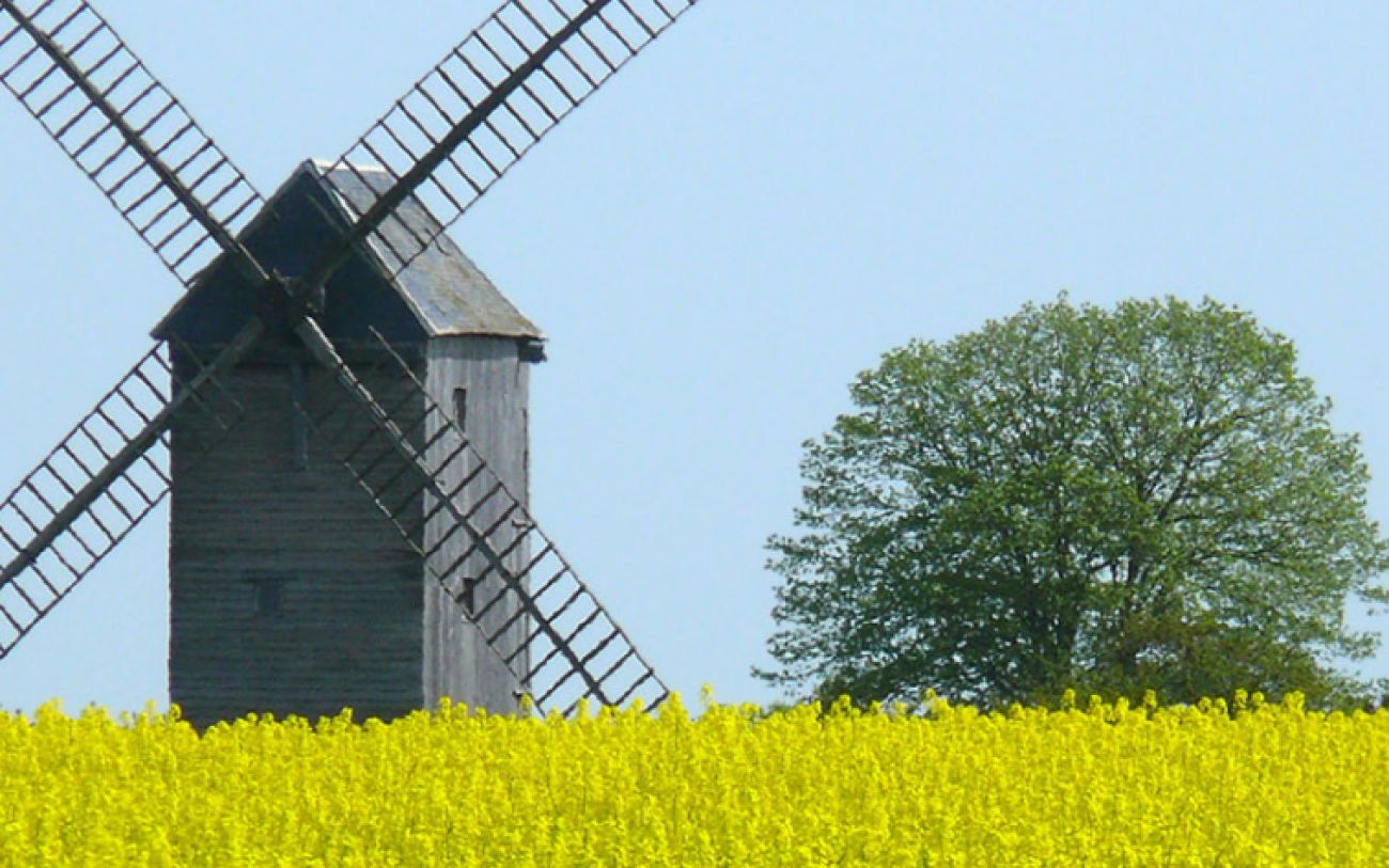 Capture d'écran 2024-07-05 164634.png